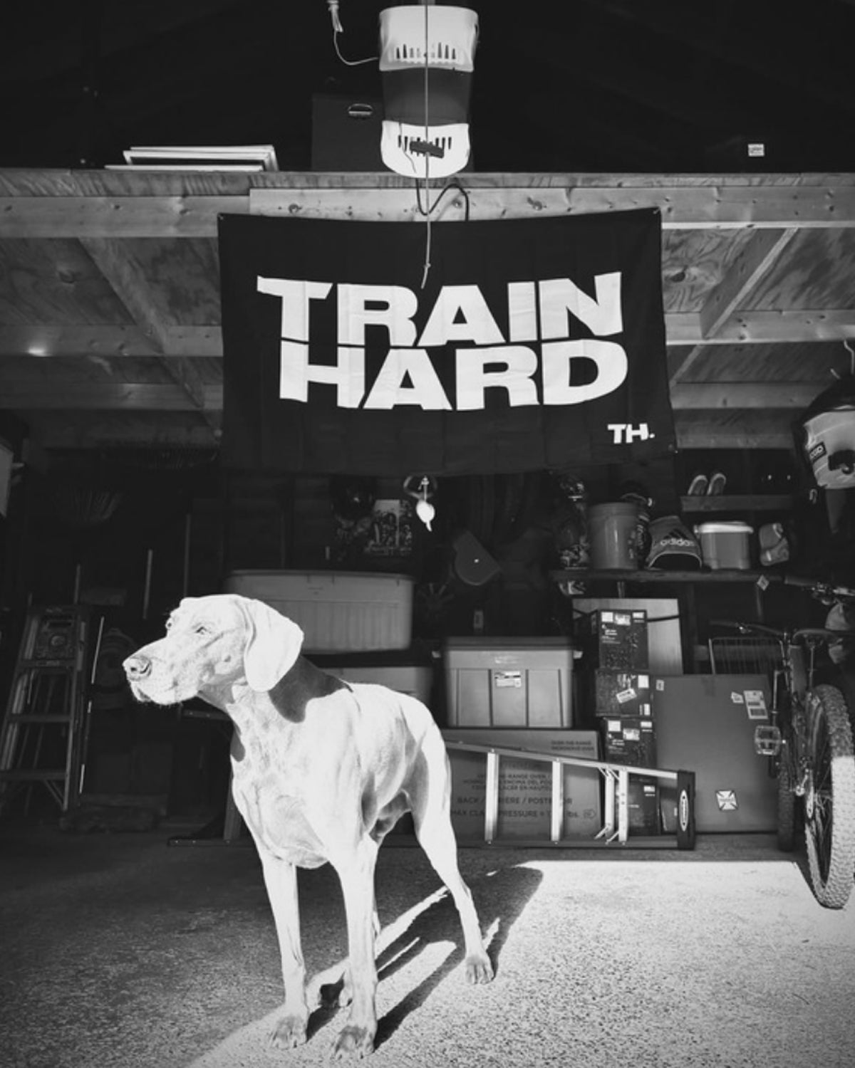 TRAIN HARD / FLAG