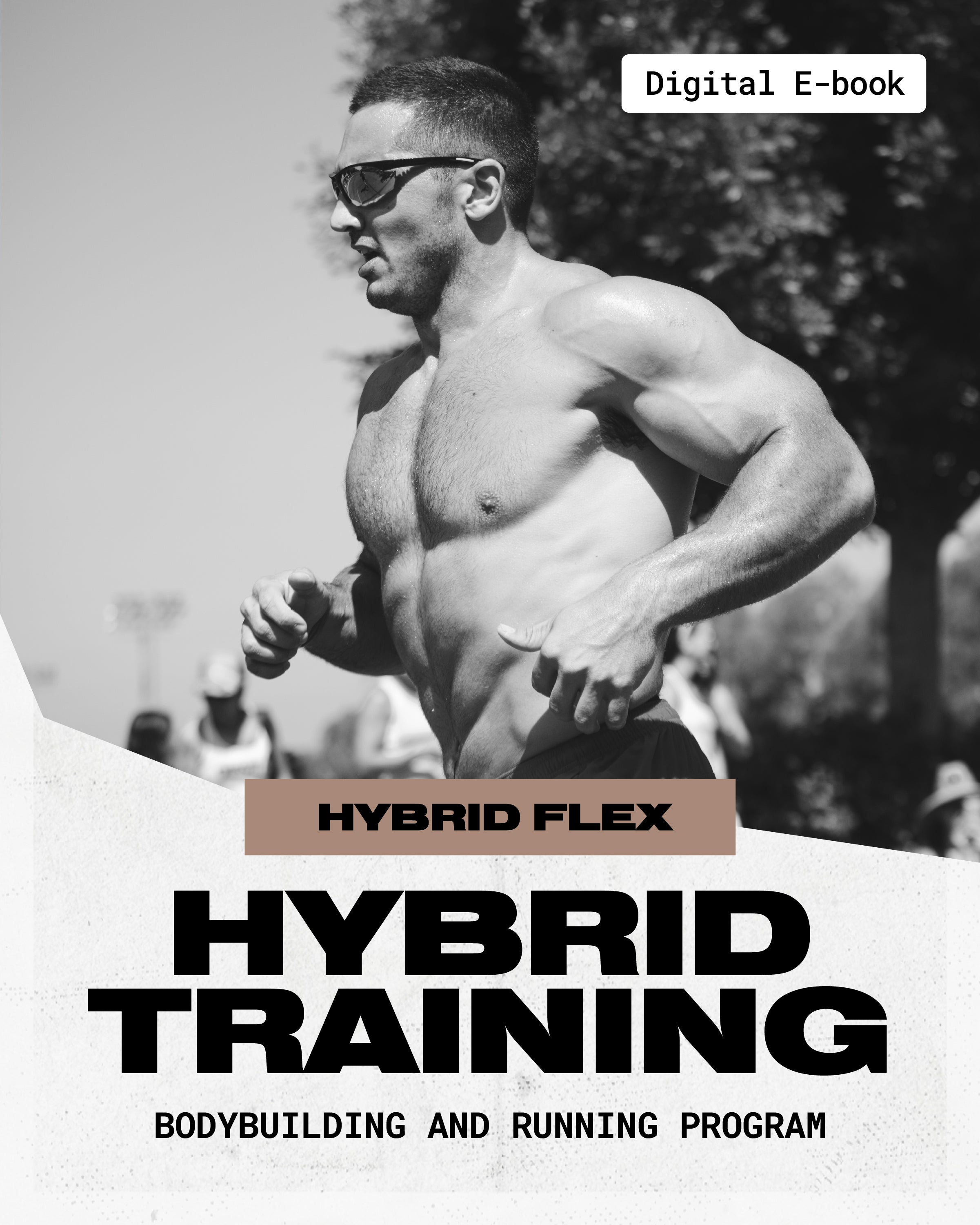 Hybrid Training [E-Book]